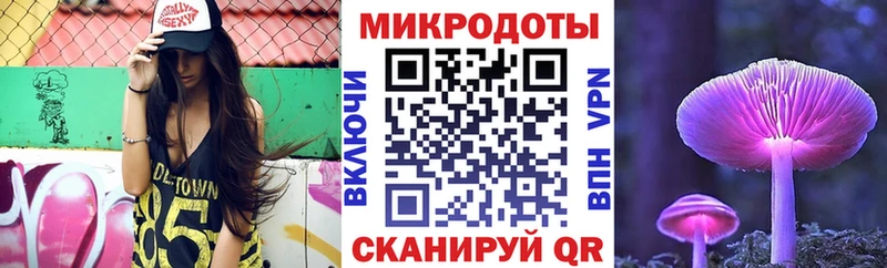 Купить закладки  Губкинский  Псилоцибиновые грибы MAGIC MUSHROOMS 